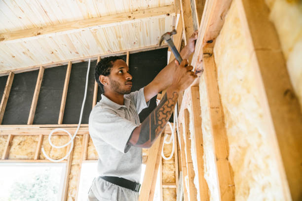 Best Crawl Space Insulation  in Dayton, MN